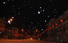 �¶��Ĵ���