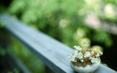 ������չ