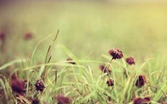 ����δ��