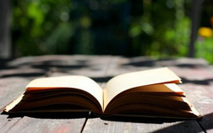 ��Ӱʦ����ѧ��