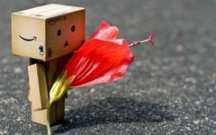 �Ѵ�����������