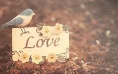 İ���˵�����