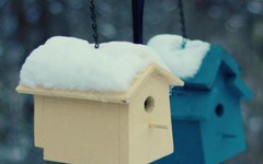 �����Ļ���