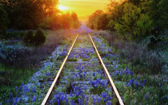 ���Ӻ�����