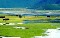 ��ԭ����