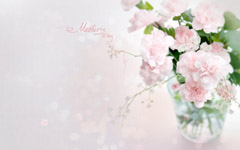 �����ñ��