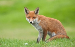 ����¹�ͺ���