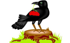 ��ѻ�ý���