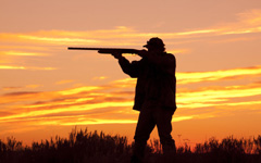 ���˵�Ը��