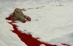 �����ı���