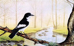 ���˵�С��