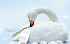 �������Ķ�