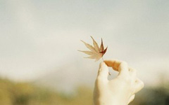 ��ѿ��ѷ�������