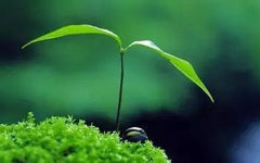 �������ϵ�ͬı