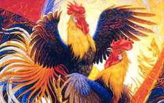 ��ֻ�����򶷵���ʾ