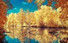 ����õ��껪һ������