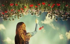 ���������Ĺ���