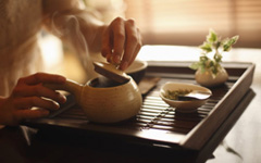 �Ȳ�������