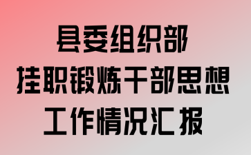 ��ί��֯����ְ�����ɲ�˼�빤������㱨