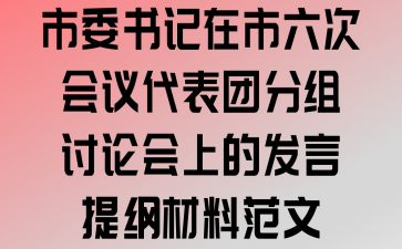 市委书记在市六次会议代表团分组讨论会上的发言提纲材料范文