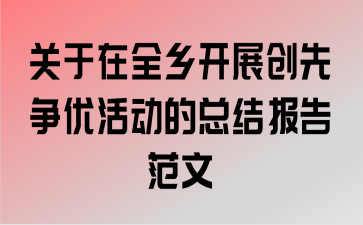 ������ȫ�翪չ�������Ż���ܽᱨ�淶��