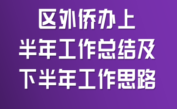 区外侨办上半年工作总结及下半年工作思路