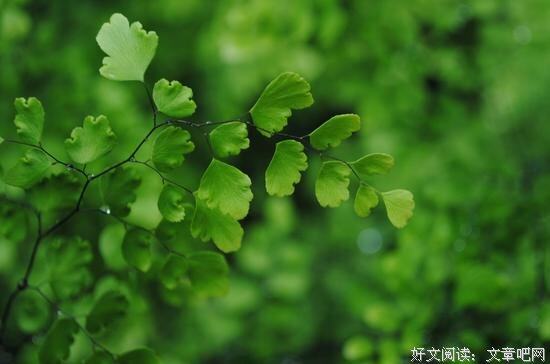 Ϊ�˵ĺ�����д����ã�