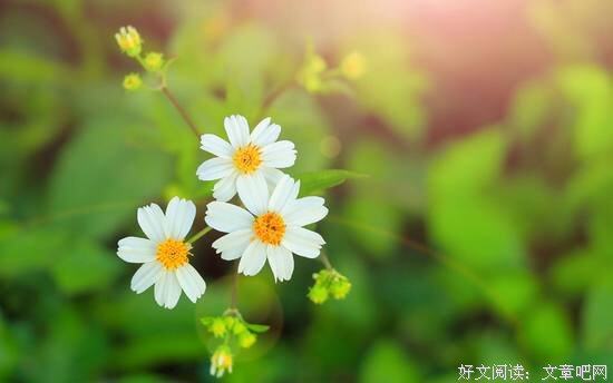 �����䣬�����ۣ����µ�