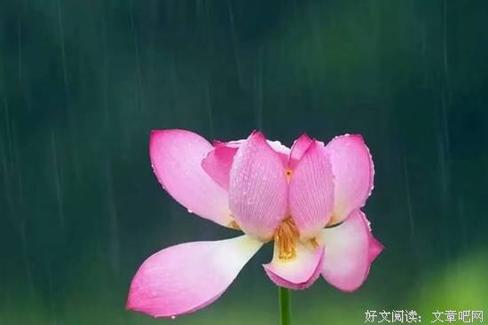愿你坚守初心,不畏苦和难