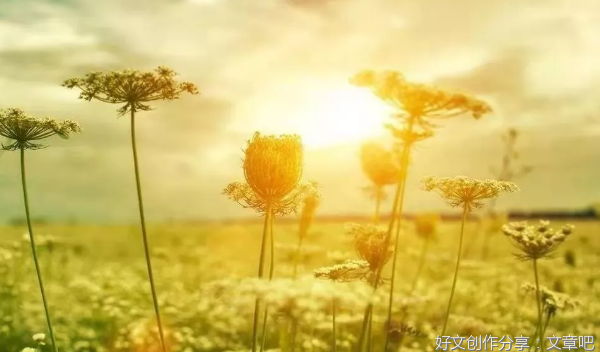 ��Щ���õ�ϸ��