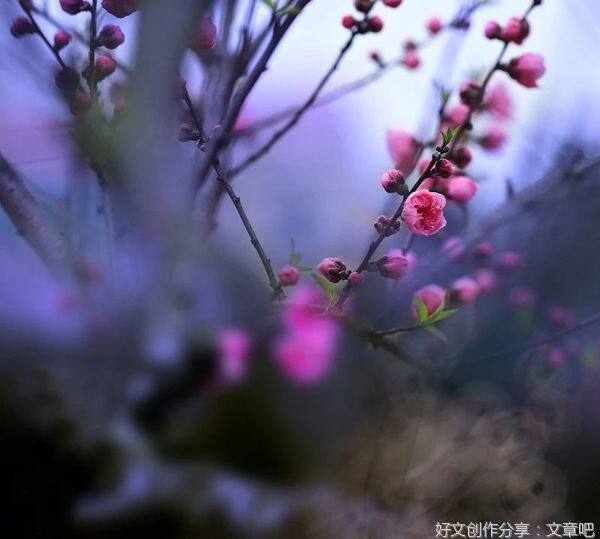 �������²�ɣ���İ����ǹ鴦�����ģ�